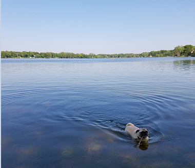 Reeds Lake East Grand Rapids Michigan